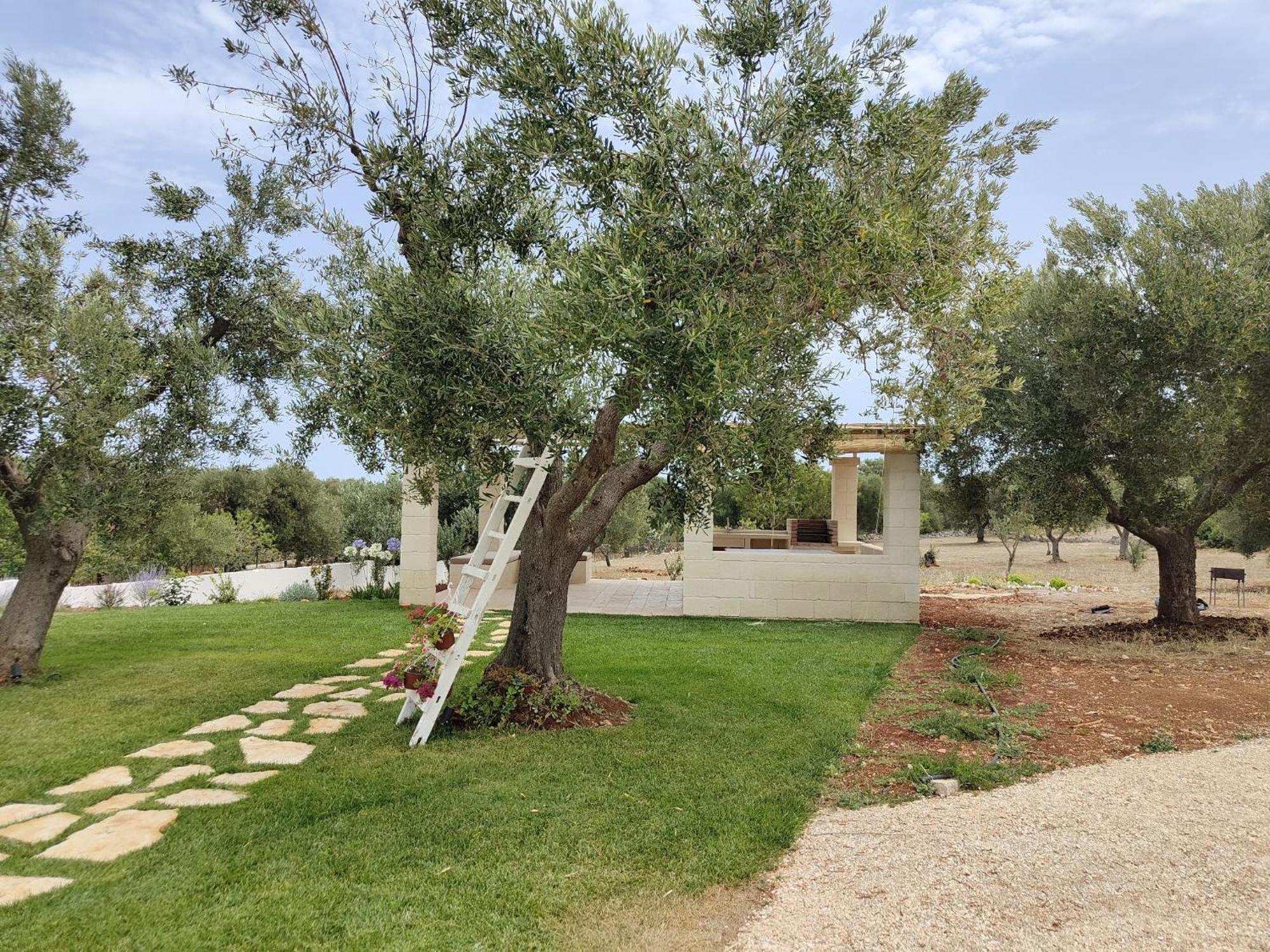 Hotel Dimora Stune Ostuni Zewnętrze zdjęcie
